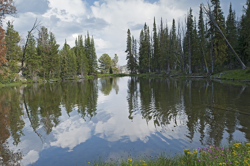 Goldstone Lake in the Southern Bitterroot Range. Located at the head of Bloody Dick Creek Canyon, near Goldstone Pass on the 