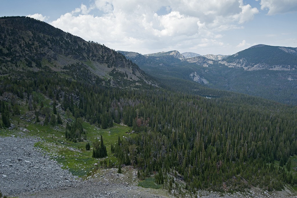 The view north of Goldstone Pass in the Bitterroot Range.