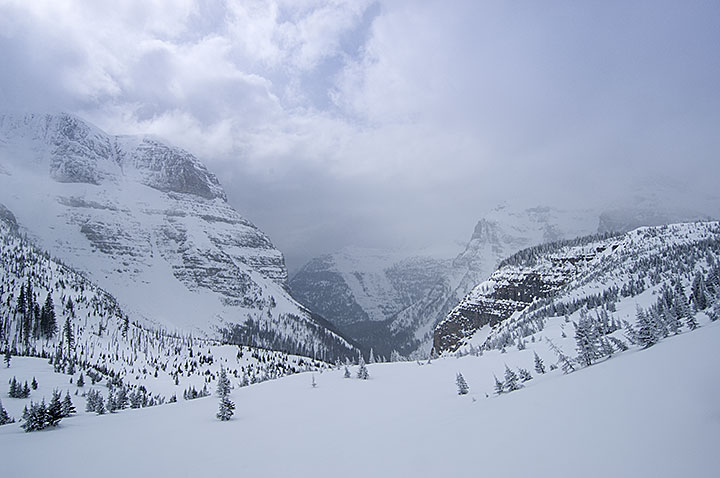The view of Bowman Canyon from Brown Pass bench in Glacier National Park