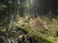 The north face after the trail ceased to exist.
