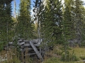 Deteriorating miner's cabin, possibly 100 years old.