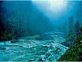 fa62937c-selway-river-fog