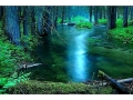 mc0619040386-east-fork-moose-creek