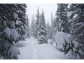 Selway-Bitterroot Wilderness Blodgett Winter Crossing of 2008