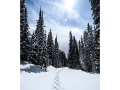 Selway-Bitterroot Wilderness Blodgett Winter Crossing of 2008
