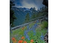 tr531040322-trapper-peak-bitterroot-valley-1