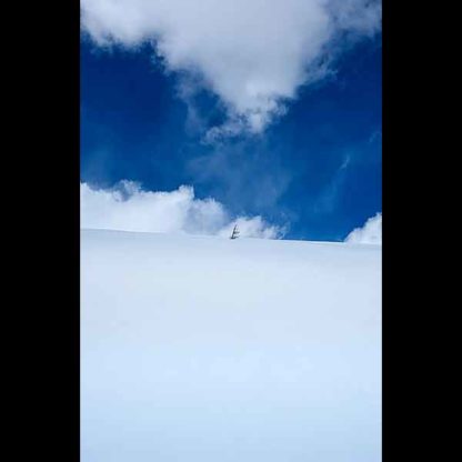 A lone treetop on East Goat Peak in Anaconda-Pintler Wilderness