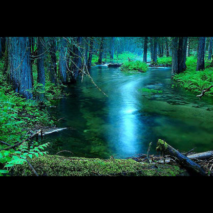 East Fork Moose Creek in Selway-Bitterroot Wilderness