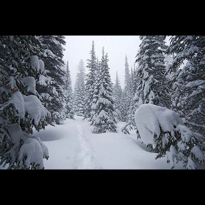 Blodgett Canyon, Selway-Bitterroot Wilderness