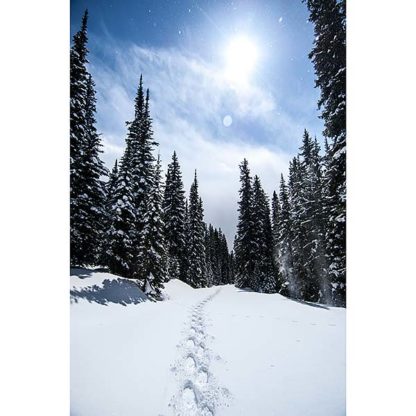 Savage Pass Clearwater National Forest in Idaho