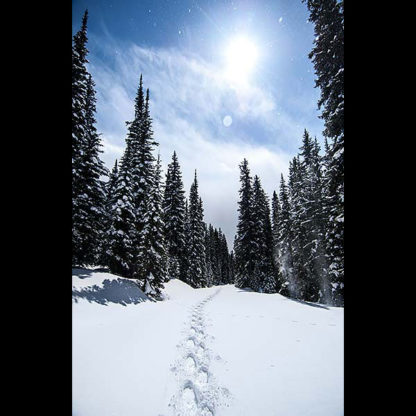 Savage Pass Clearwater National Forest in Idaho