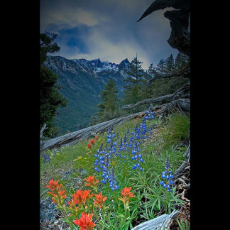 Trapper Peak in Montana's Bitterroot Valley